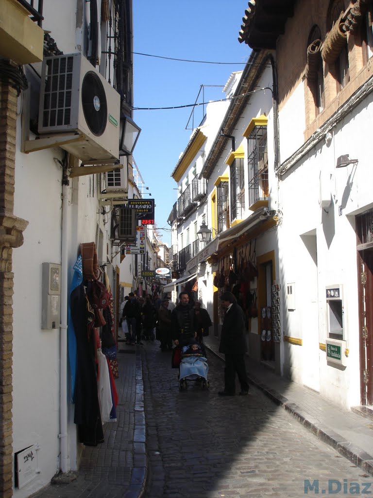 La Catedral, Córdoba, Spain by m.diaz