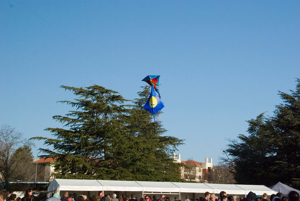 Kite Flying at Nara Candle Festival by AO2232