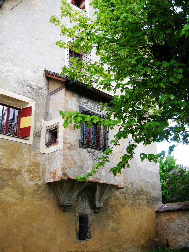 Dobbiaco - Erker del castello Herbst by franco baldissarutti