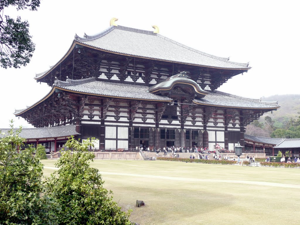 Nara Todai-ji by Julien DEMARQUETTE