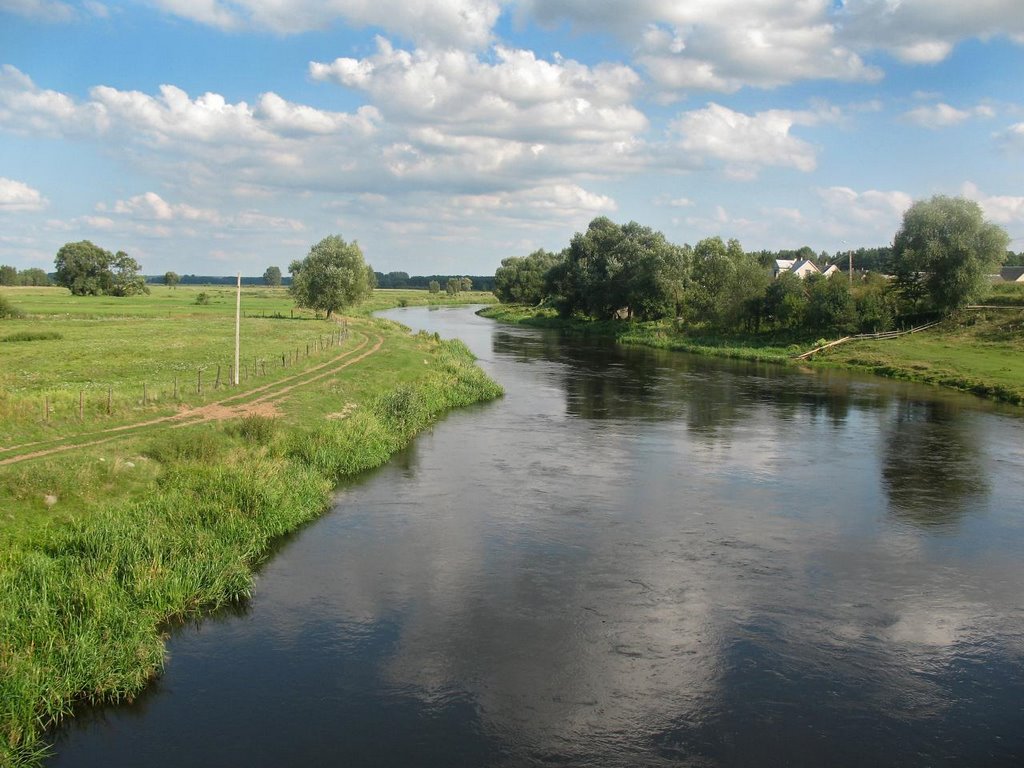 Rzeka Narew by RoboD