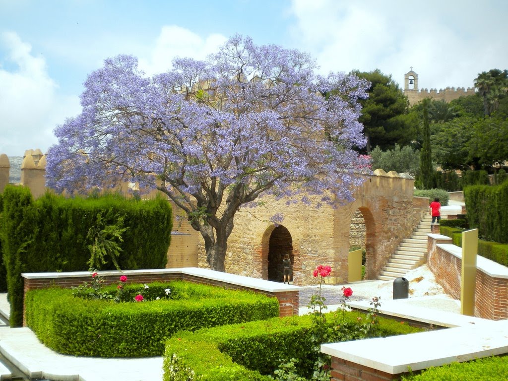 Alcazaba de Almería by Andrzej Armiński