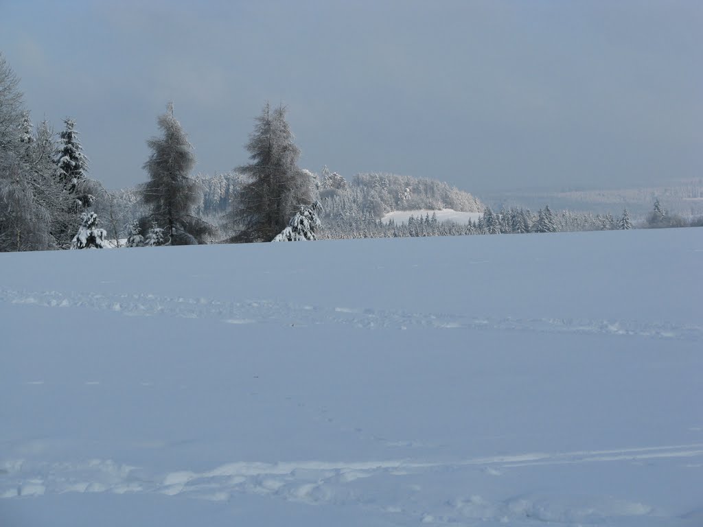 Vysočina-Drátník od Samotína by matema15