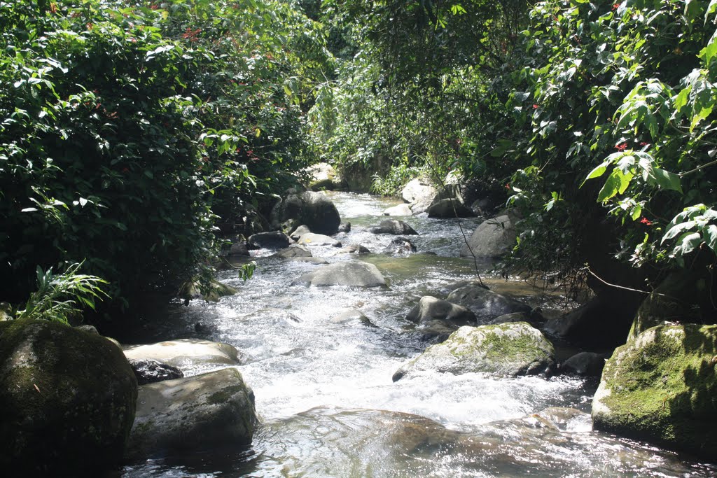 Camino Arriba-Ponce by Ricardo David Jusino