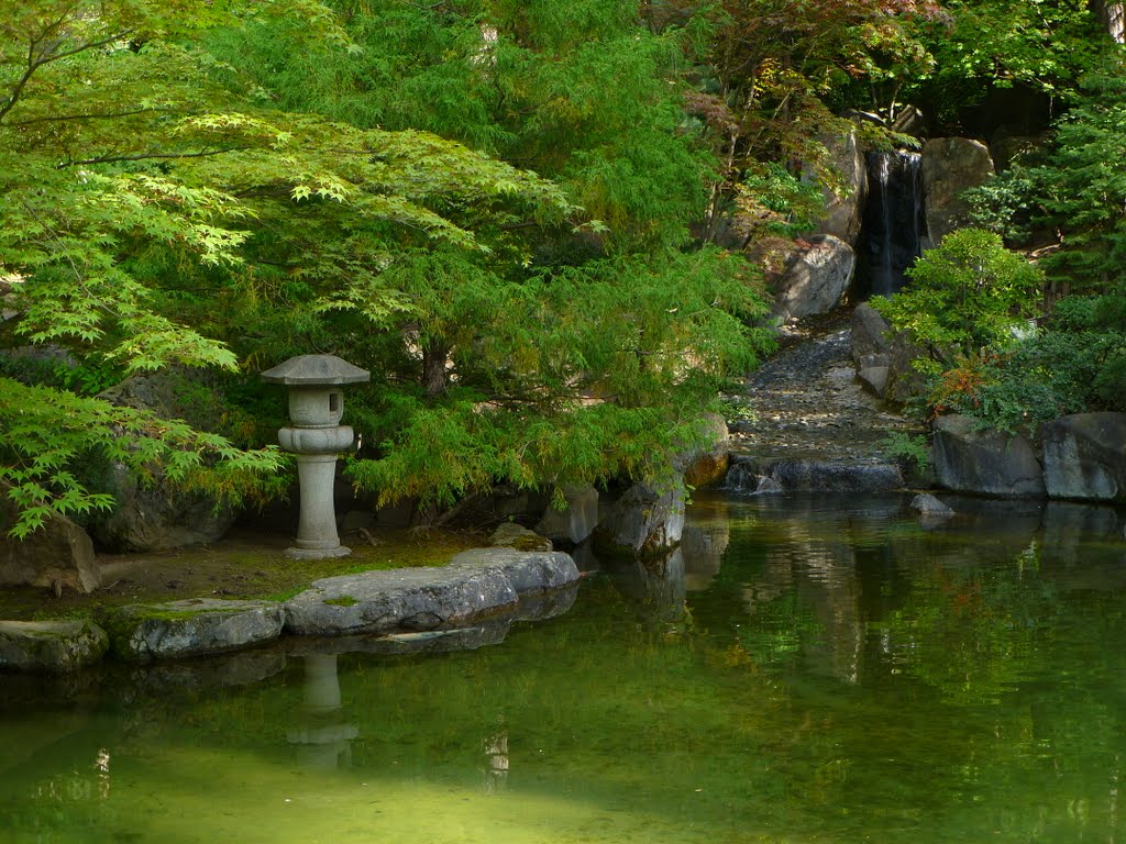 Water Fall at Japanese Garden, Manito Park, Spokane by TidyTim