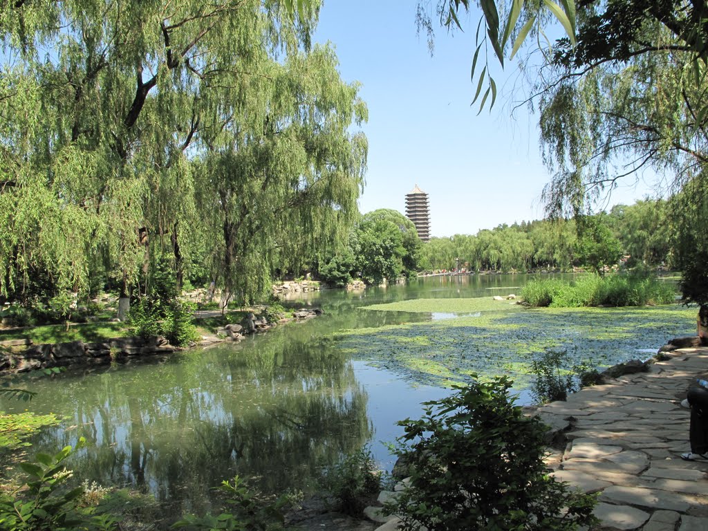 Nien Tsu Lake Peking University by pyramyth