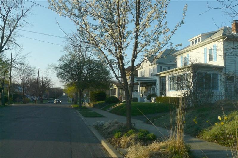 Looking down the street by Geraldine Clark