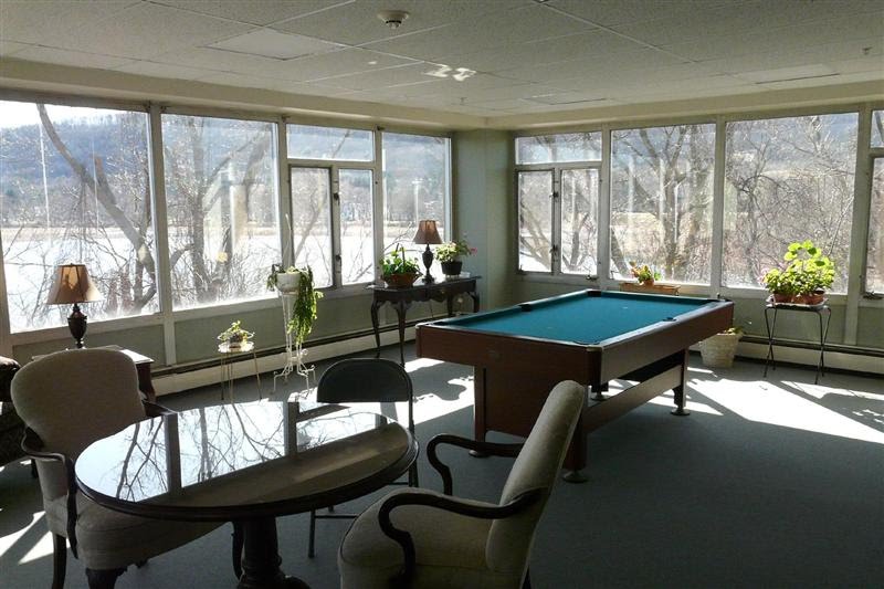 Sunroom pool table by Geraldine Clark