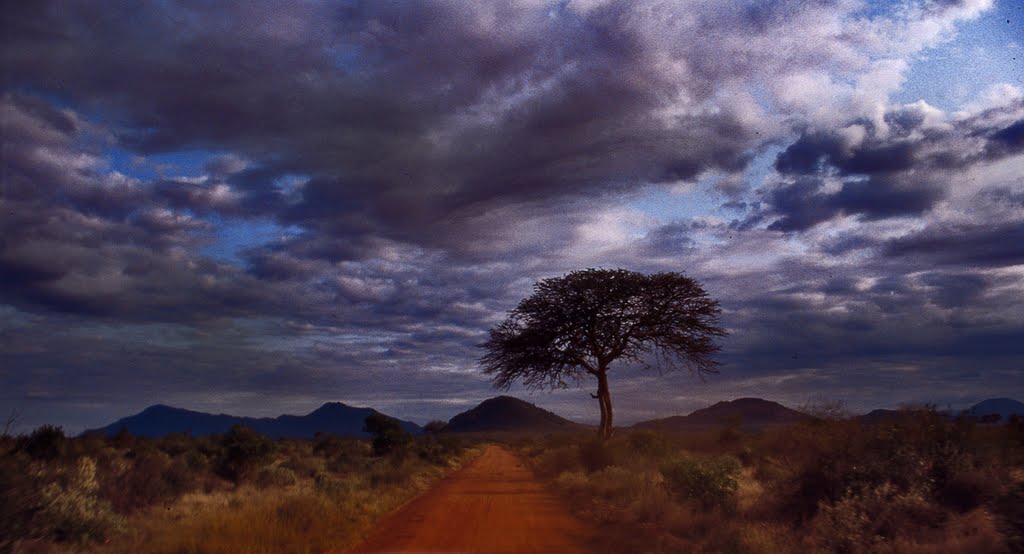 Road by MIGUEL ANGEL Escuder…