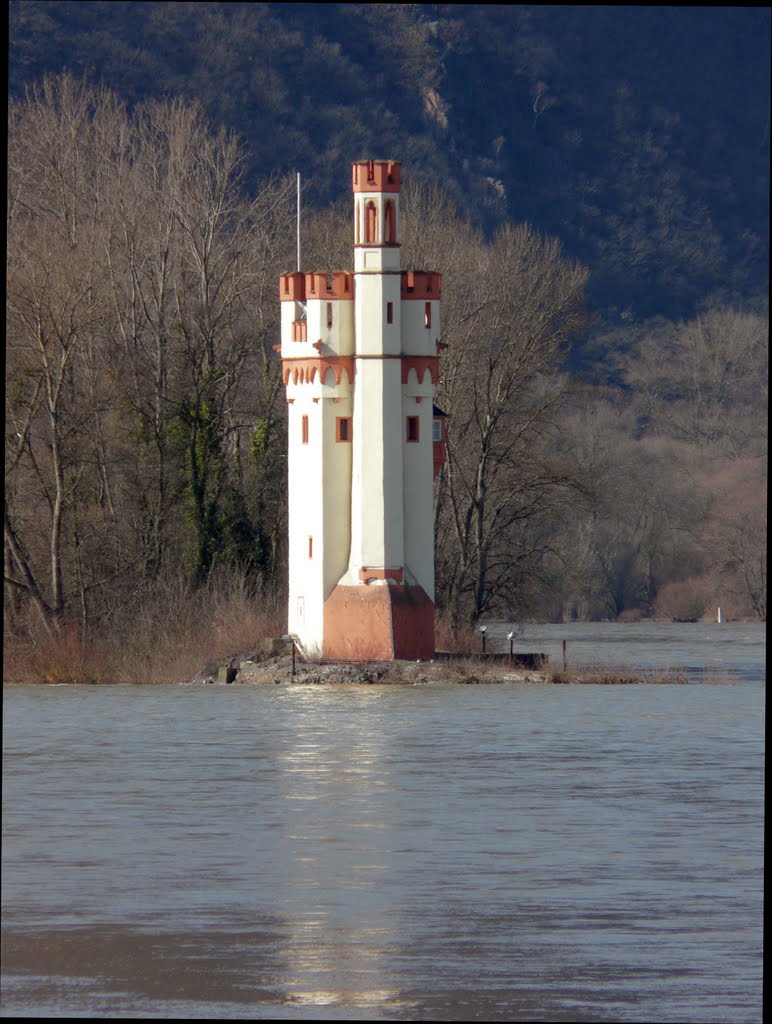 Germany_Rhineland-Palatinate_Bingen on the Rhine river_Mouse Tower_P1110073.JPG by George Charleston