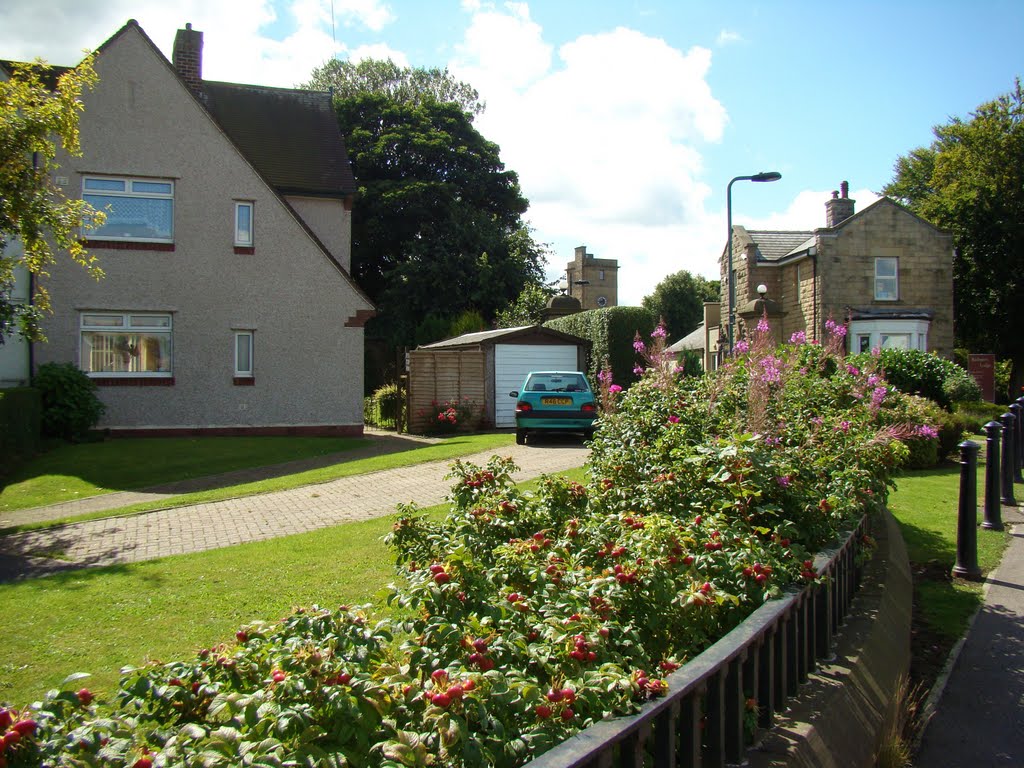 Frontage of house and garden near to the former lodge and entrance to Lodge Moor Hospital, Sheffield S10 by sixxsix