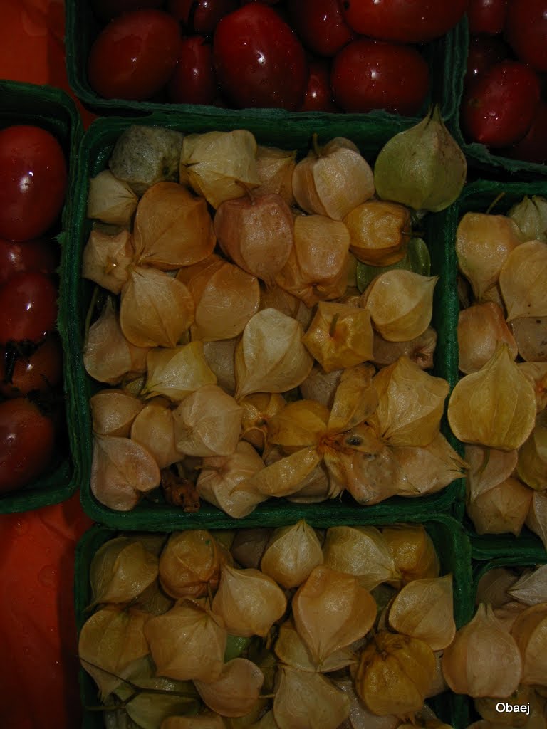 St Norbert Farmers Market by Md. Obaej Tareq