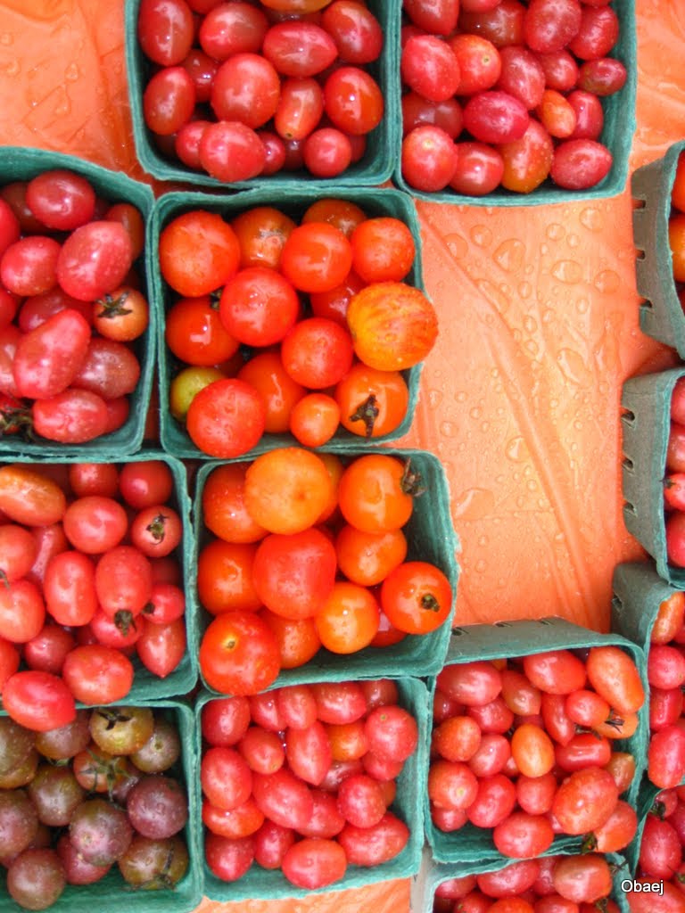 St Norbert Farmers Market by Md. Obaej Tareq