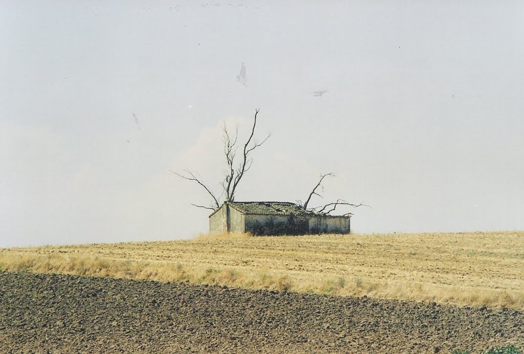 Campo de Criptana, 13610, Ciudad Real, Spain by sery1407