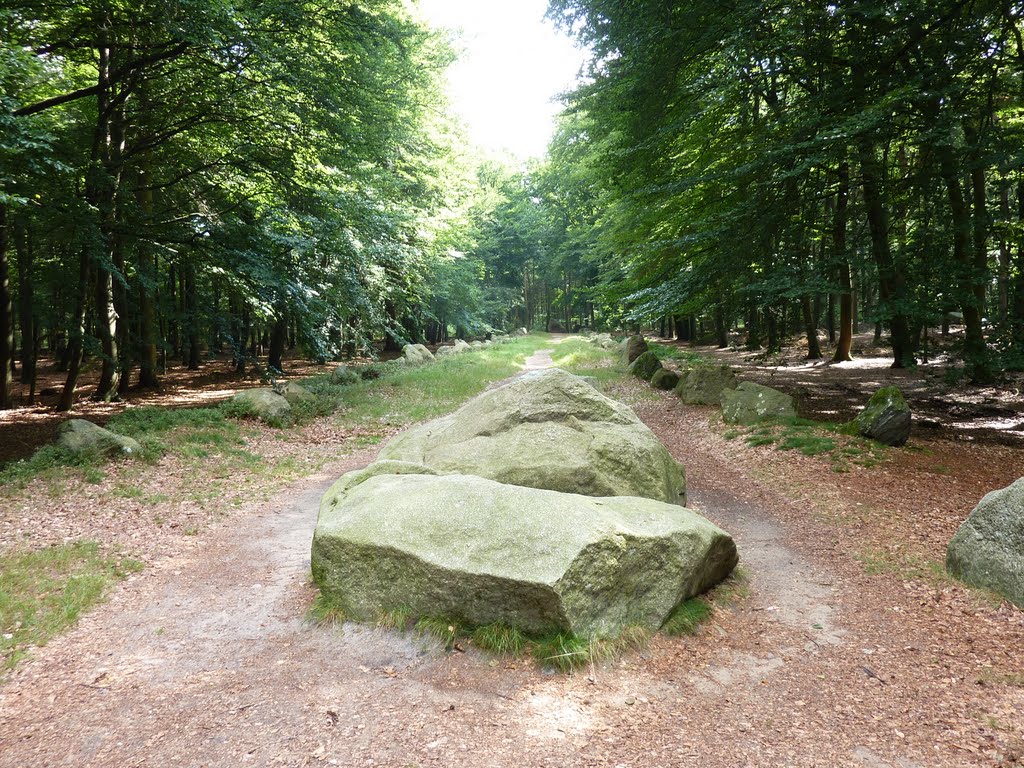 "Visbeker Bräutigam" / Neolithic gravesite by Panzerknacker