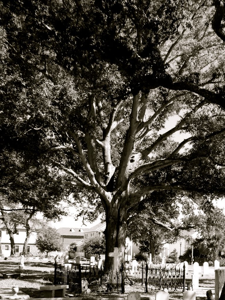 St. Michaels Cemetery by 1979kid