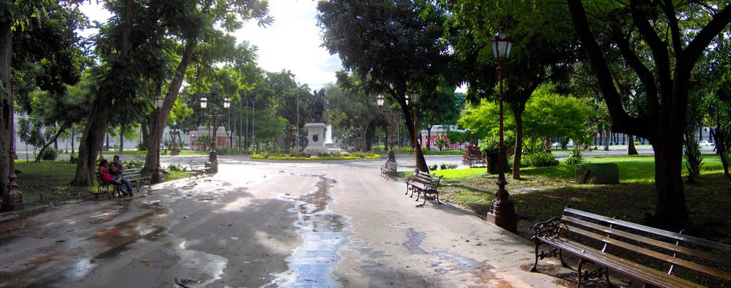 Plaza Bolívar by Carlos J Perez M