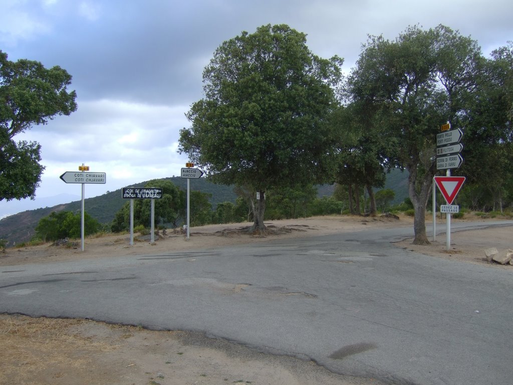 Col de Gradello (Corsica Island - France) by steph_tsf