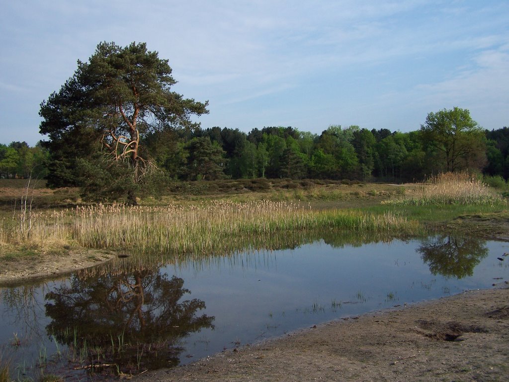 Brunssummerheide ven by W Klinkenberg