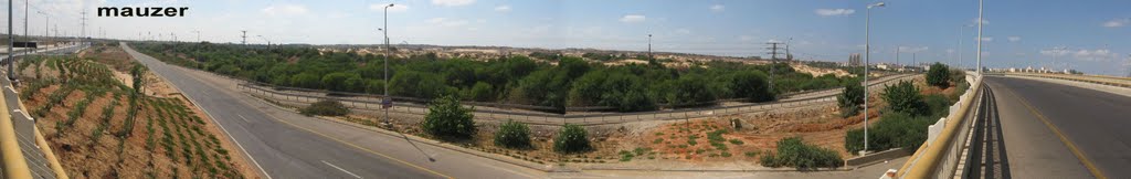 Rishon Letsiyon sands 18.9.2010 by alon_"mauzer"