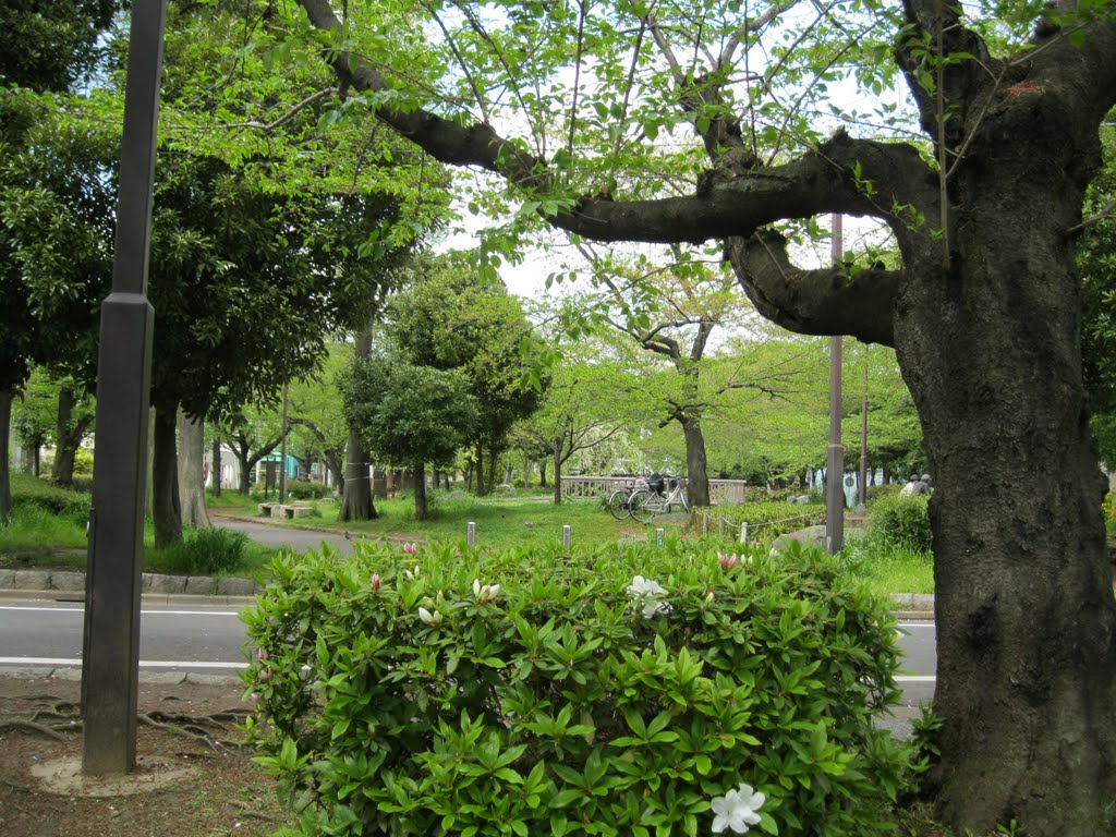 2 Chome Yanaka, Adachi-ku, Tōkyō-to 120-0006, Japan by budi surono