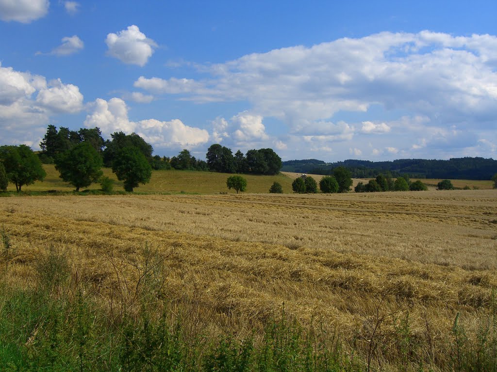 594 01 Vídeň, Czech Republic by Božetěch Čejka