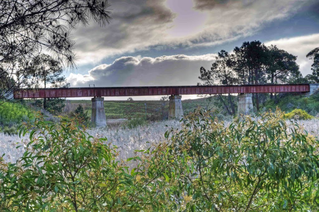 Black Swamp Railway Bridge, Tookayerta Creek by ozeb