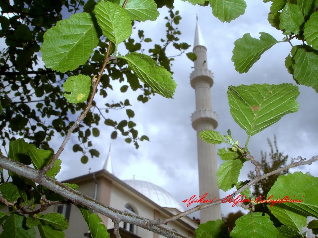 ... DŽAMIJA manastirica seljim k by Seljim Kalajdžini