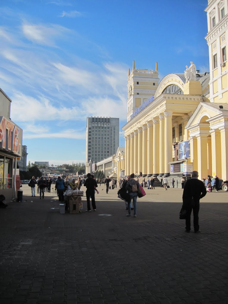 Railway station by Vadim Novikov