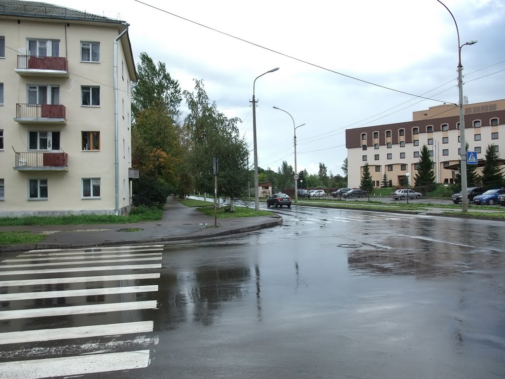 Перекрёсток улиц Парковая и Студенческая - Crossroads of streets the Parkovaya and the Studencheskaya by Diader