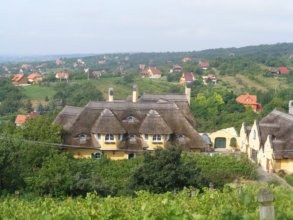 Sukoró, Hungary by J.Lajos