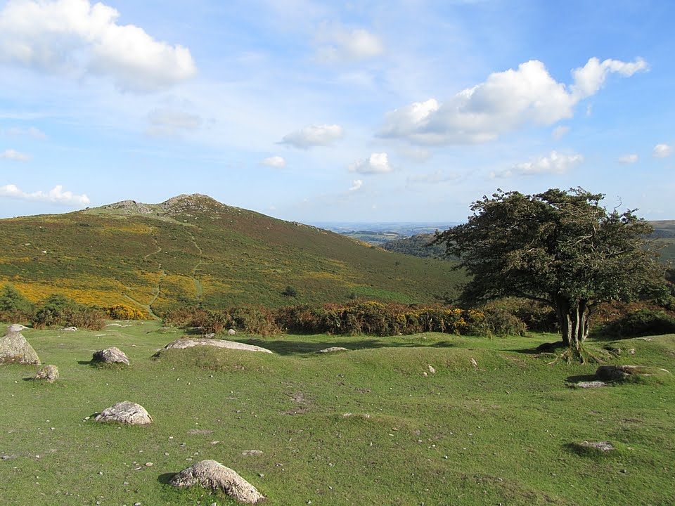 Dartmoor by Christian_Wenger