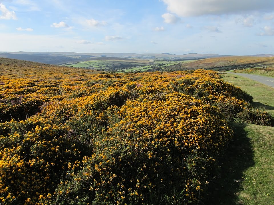 Dartmoor by Christian_Wenger