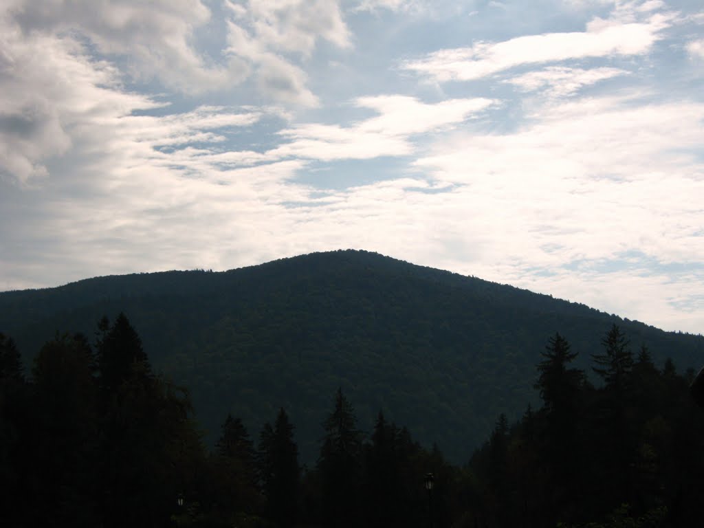 View from Sinaia by LiRa