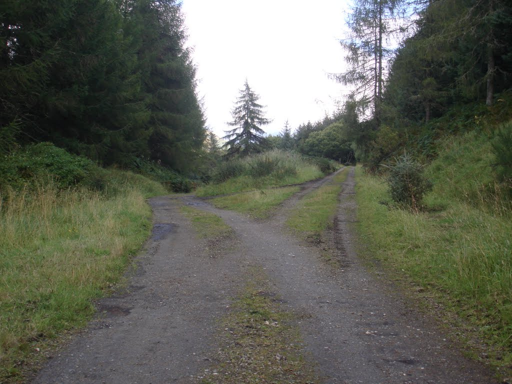 Killin Junction Station - Island Platform by creativepics