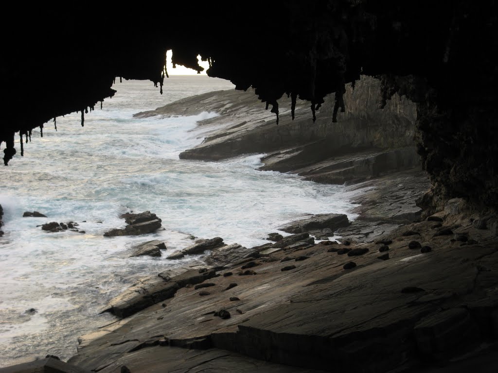 Kangaroo Island : Admirals Arch by sydig