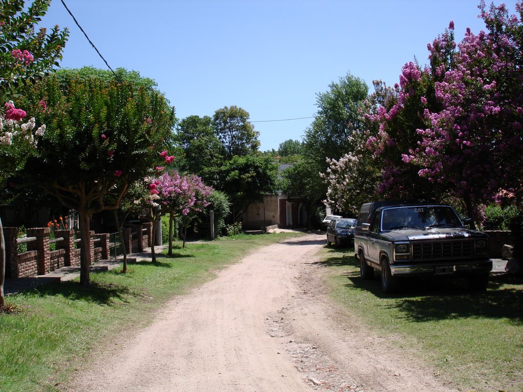 Alpa Corral by Luis V. Gattari