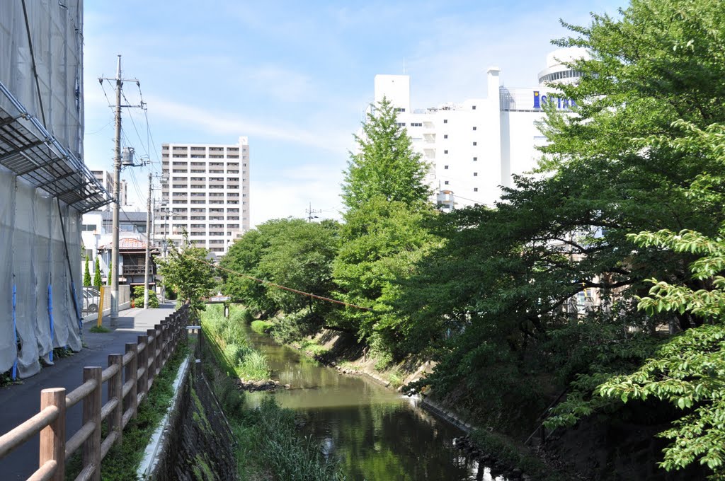 Saka-gawa River 坂川 (2010.07.19) by k.takita