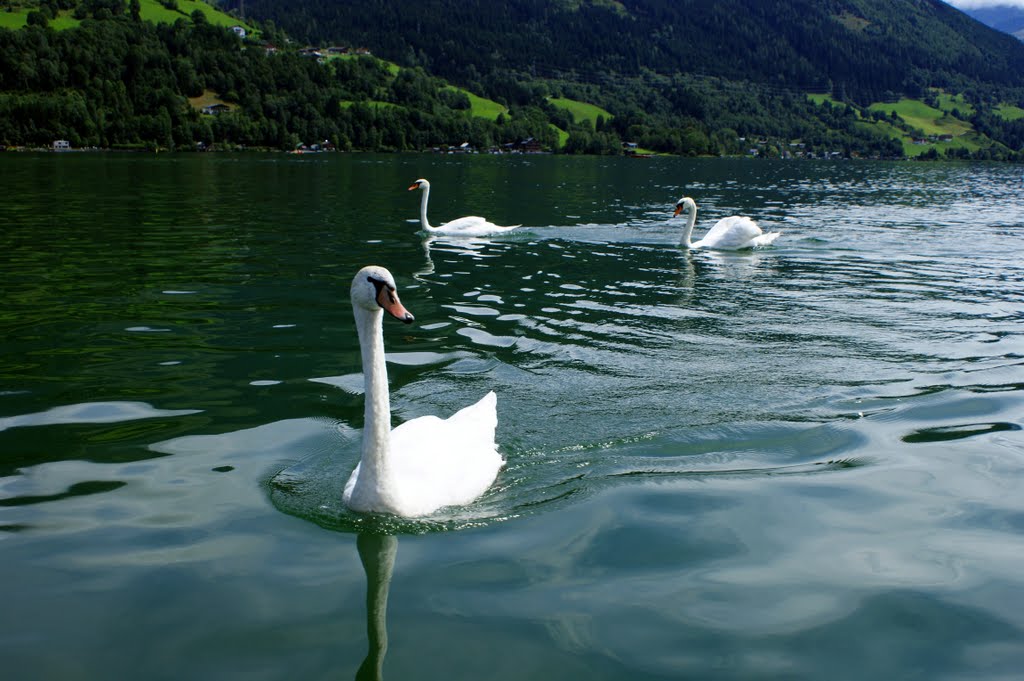 Zell am See by Savas Magoulas