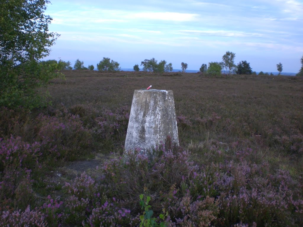 Trig Point on Rompling Downs by Klein martin