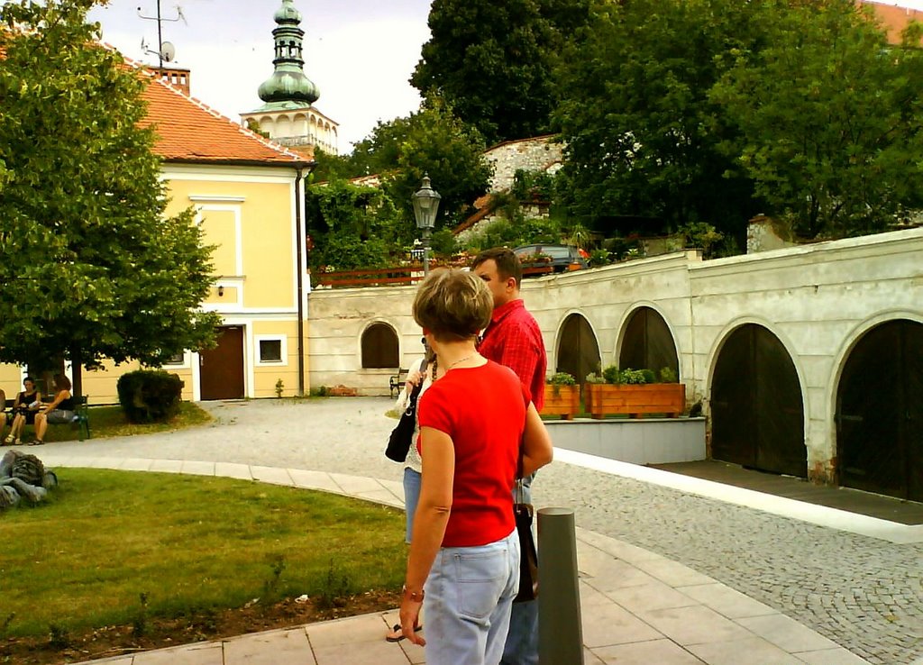 Mikulov - a small beautiful town in the south of Czech Republik by andy_01