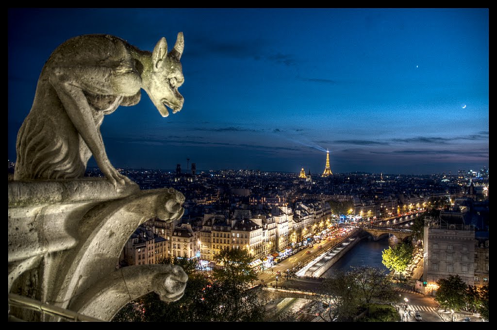 NÔTRE DAME DE PARIS . Gargouille by JEAN MARTINEZ