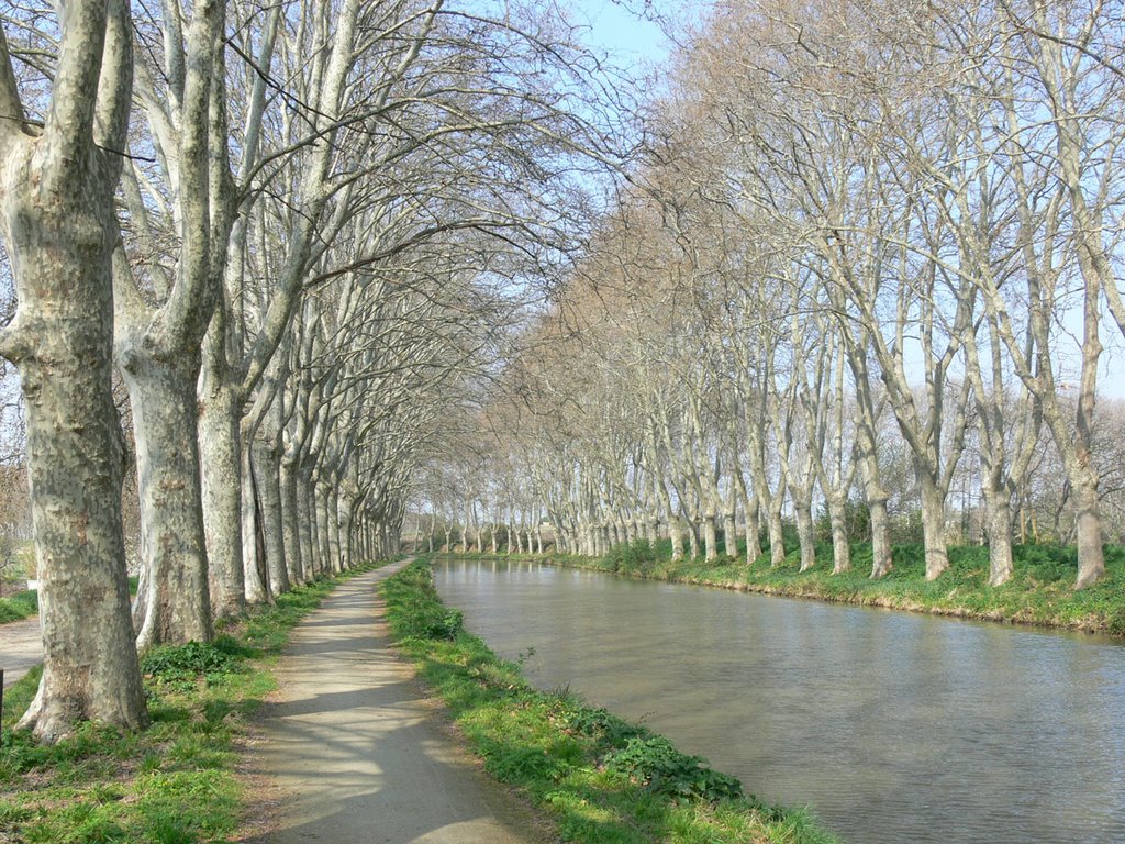 Canal du Midi by Rafel Sabater