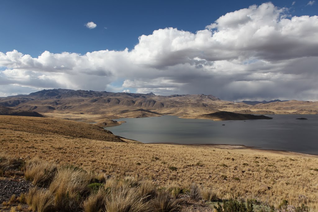 LAGO ANDINO. by llergetano