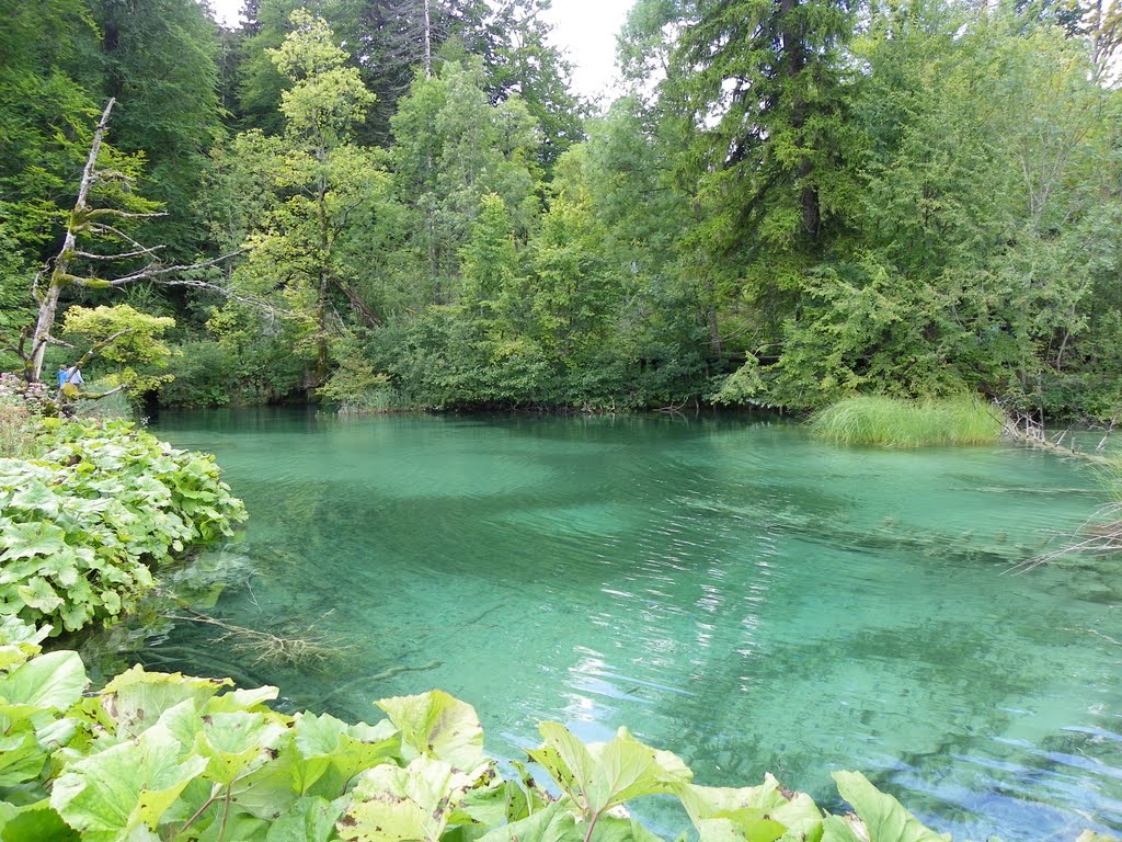 Plitvice by laligr