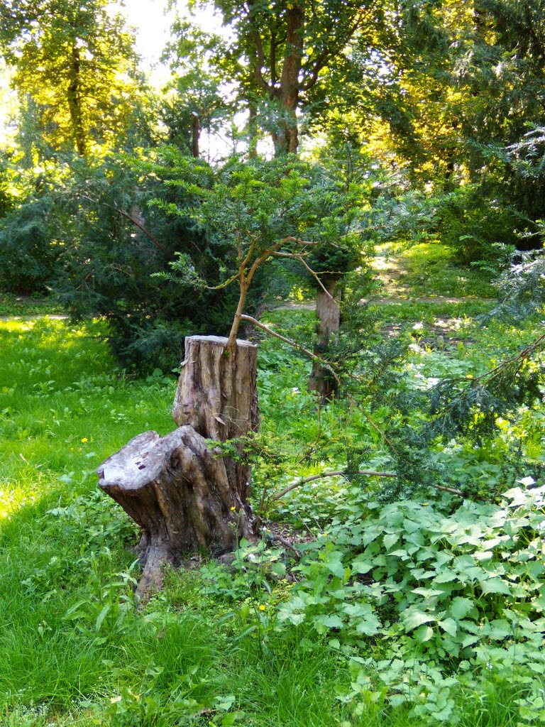 Entrance, Jardin of Residenz, Würzburg, 22 Aug 2010 by anagh