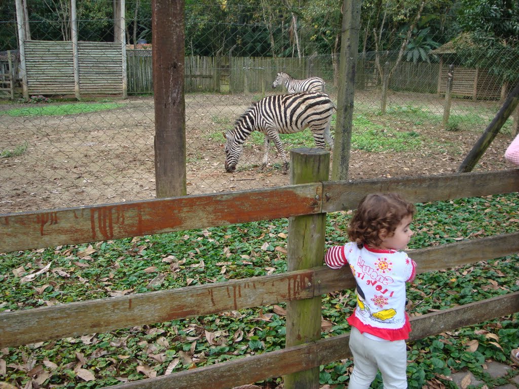 Espaço da Zebra 1 by Alexandre Amorim Caa…