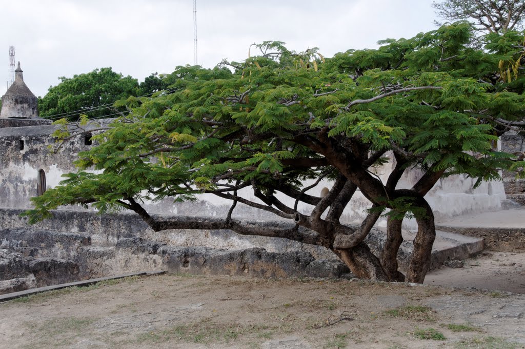 Mombasa old town by brussels100