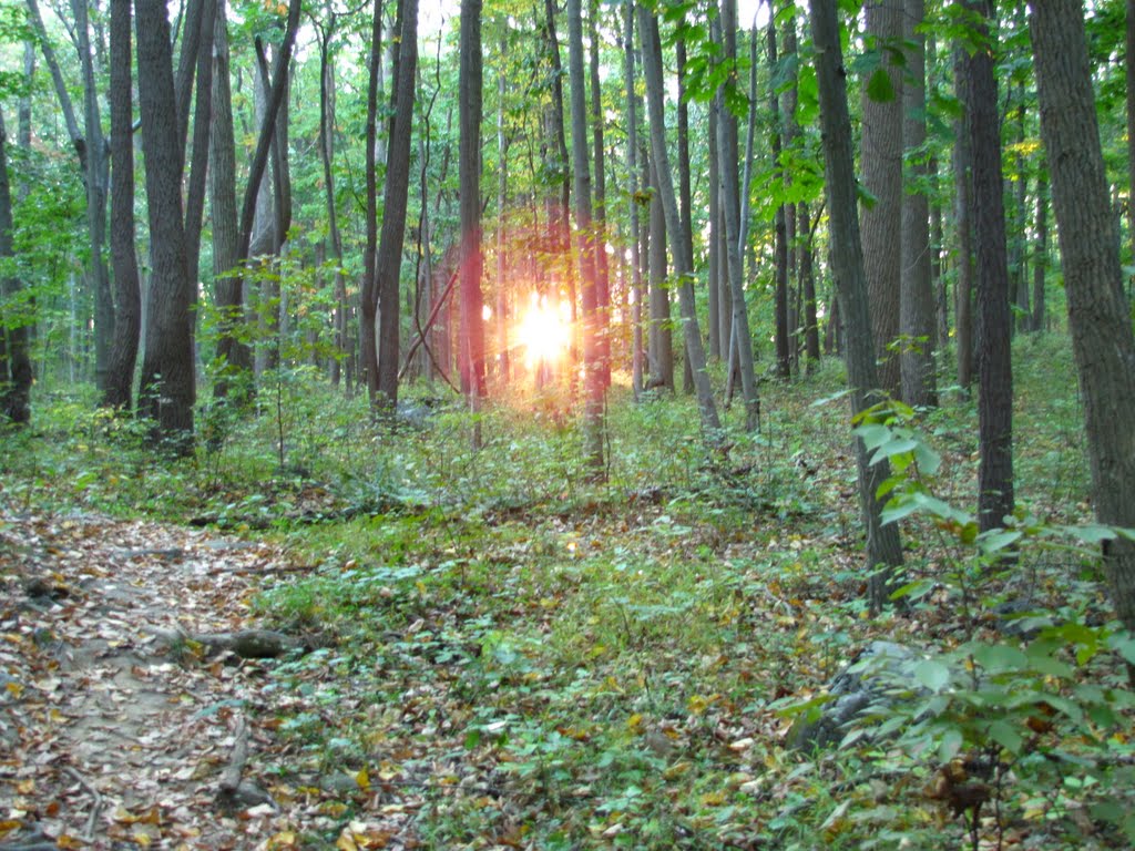 Ringing Rocks Park in Late Afternoon by Chris Sanfino