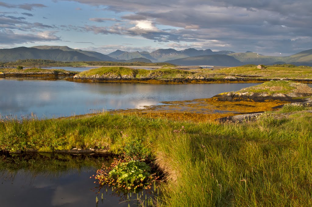 Morning light by Paul Sorensen